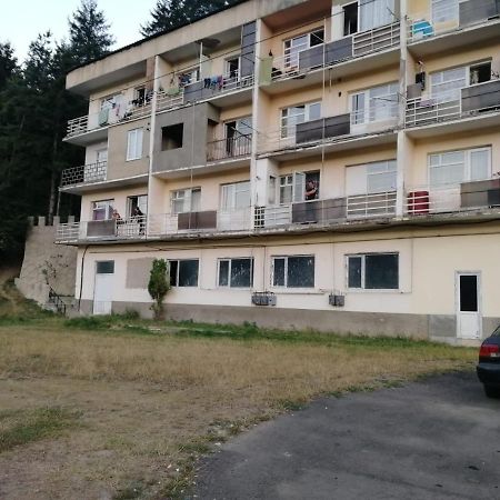 Apartament Alena'S Flat Bordżomi Zewnętrze zdjęcie