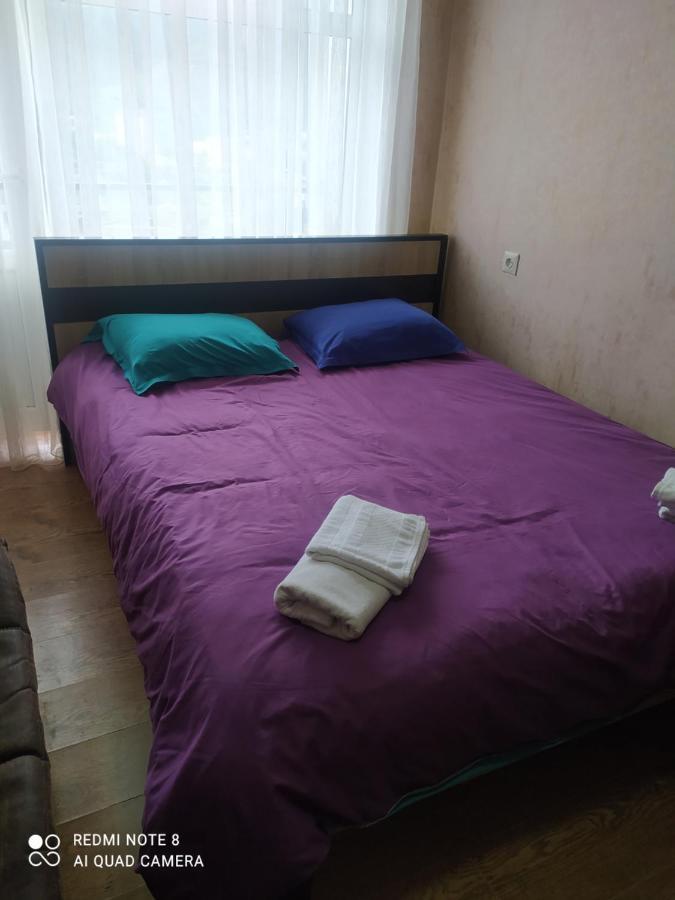 Apartament Alena'S Flat Bordżomi Zewnętrze zdjęcie