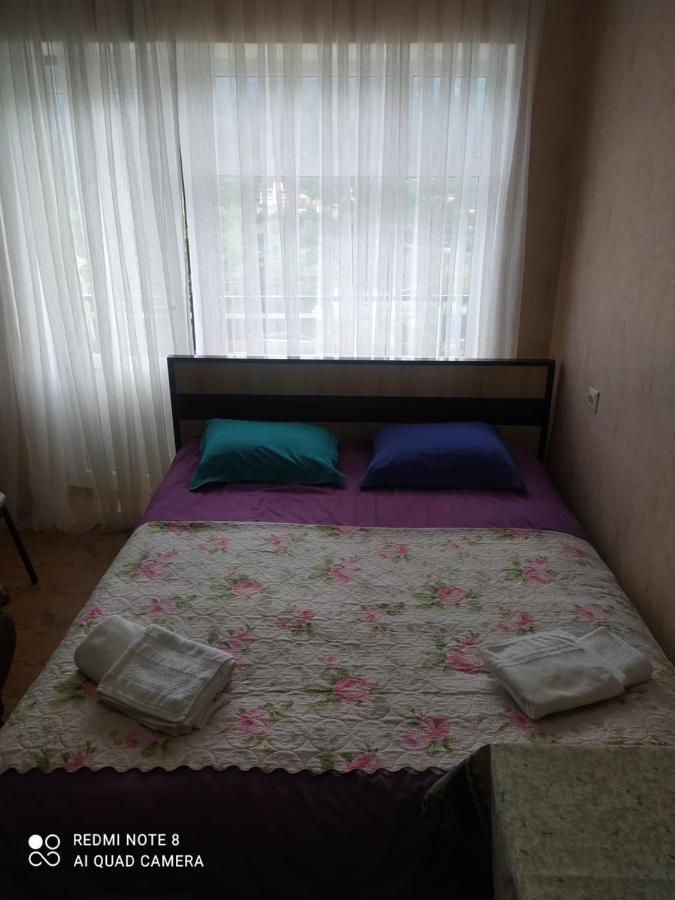 Apartament Alena'S Flat Bordżomi Zewnętrze zdjęcie