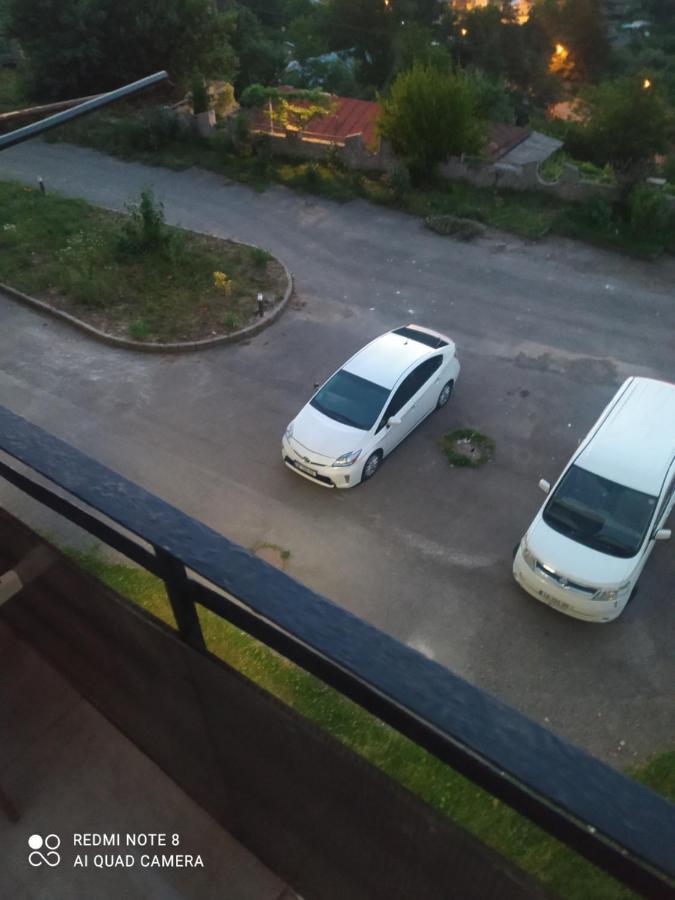 Apartament Alena'S Flat Bordżomi Zewnętrze zdjęcie
