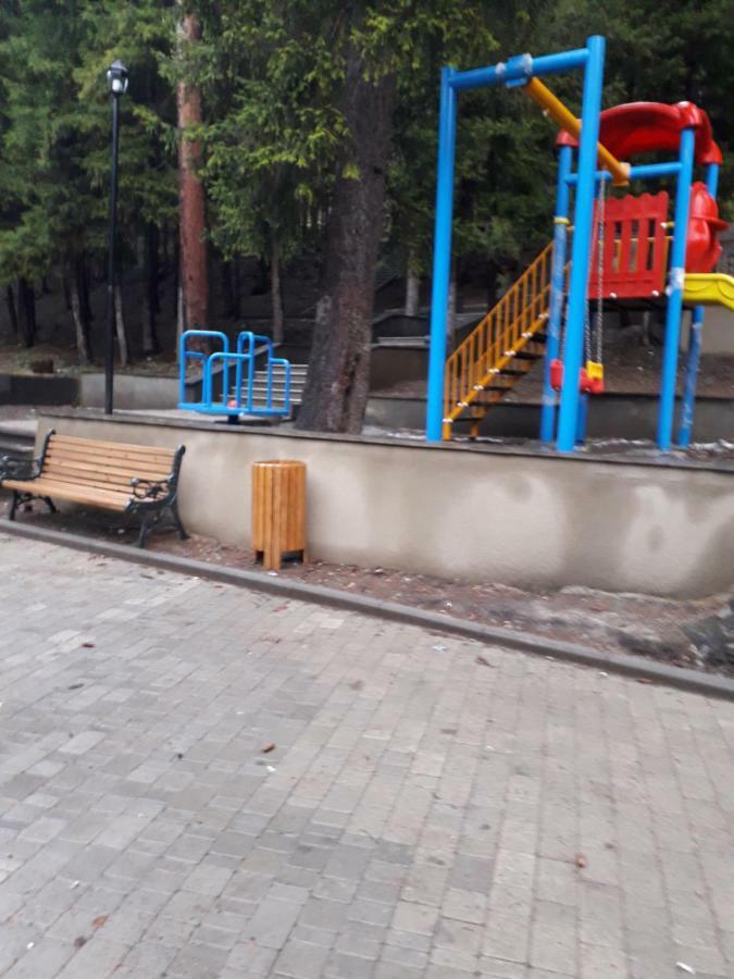 Apartament Alena'S Flat Bordżomi Zewnętrze zdjęcie