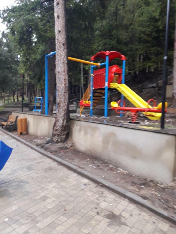 Apartament Alena'S Flat Bordżomi Zewnętrze zdjęcie