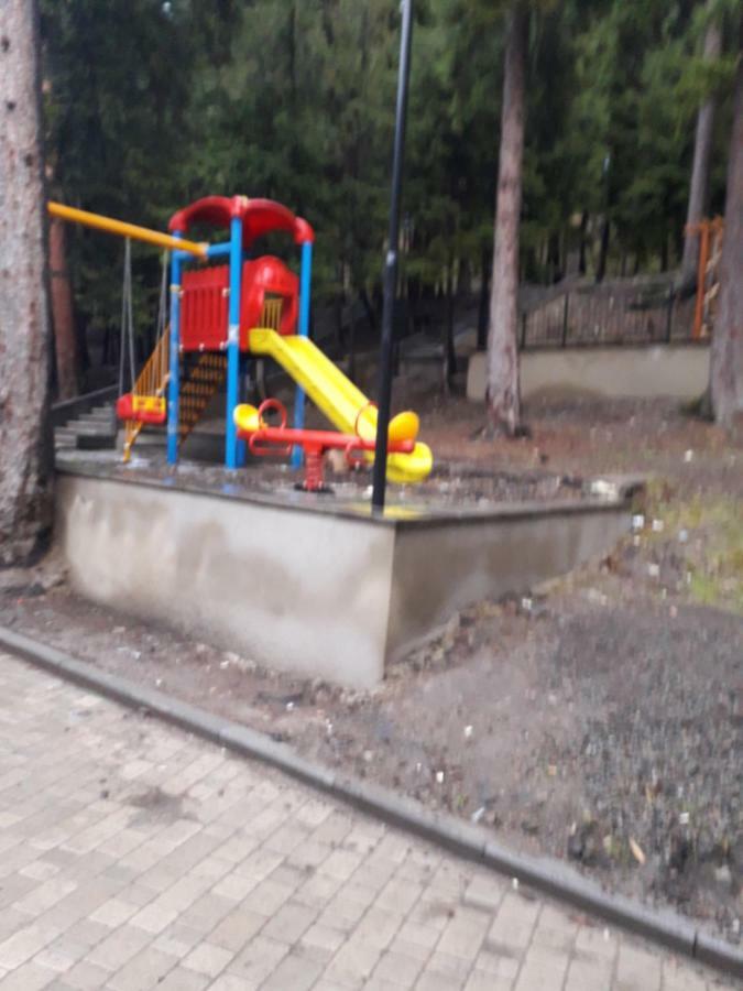 Apartament Alena'S Flat Bordżomi Zewnętrze zdjęcie