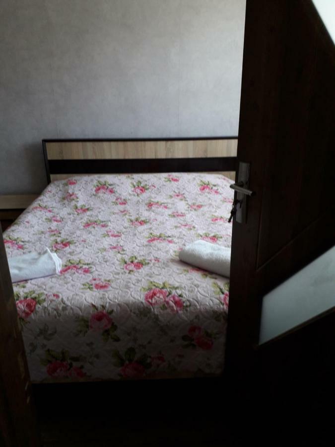 Apartament Alena'S Flat Bordżomi Zewnętrze zdjęcie