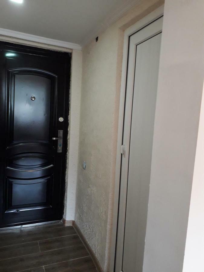 Apartament Alena'S Flat Bordżomi Zewnętrze zdjęcie